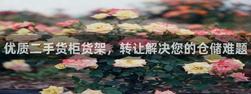 杏运体育app下载安装手机版