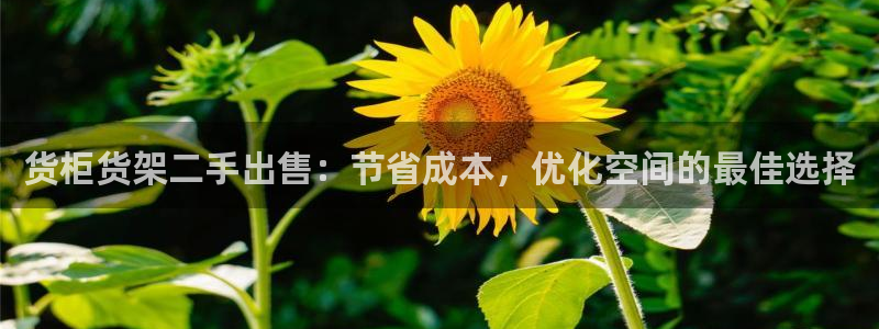 杏运体育官方网址