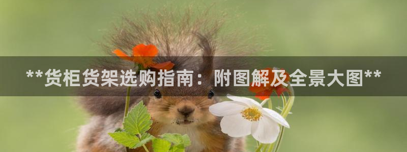 杏运平台官方网站