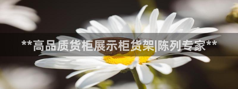 杏运体育app