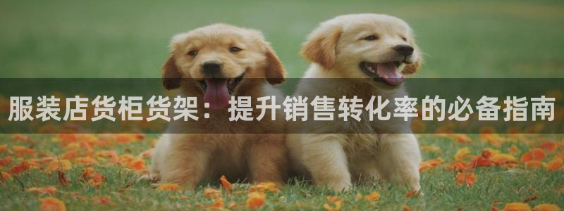 杏运体育登录