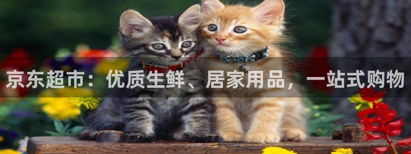 杏运平台登陆