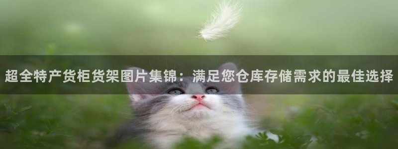 杏运汽车招商