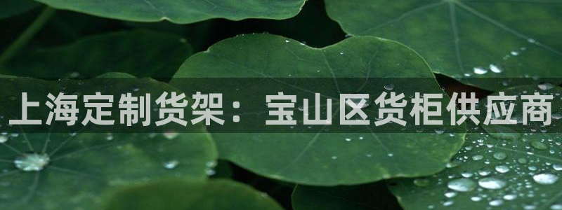 杏运注册登录地址