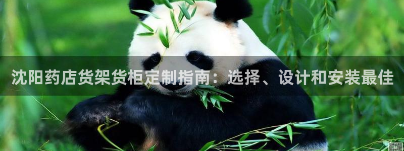 杏运娱乐平台注册地址在哪里