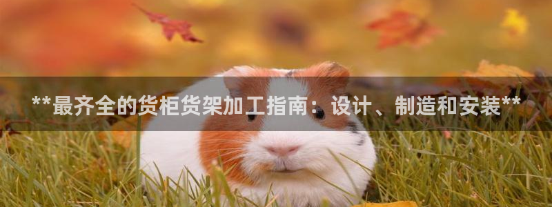 杏运体育app