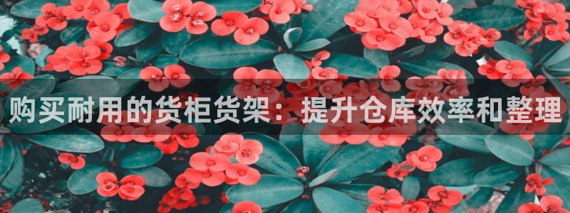 杏运体育平台正规吗安全吗