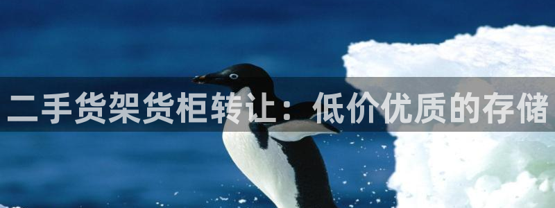 杏运体育官网