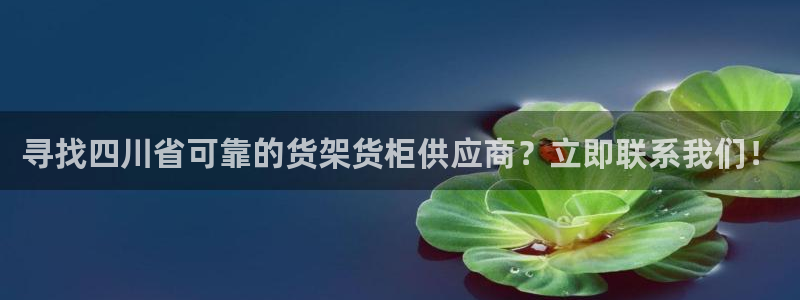 杏运相伴