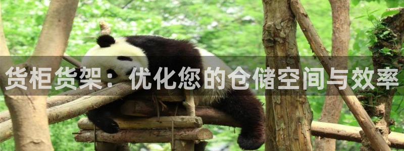杏运体育app下载安装手机版