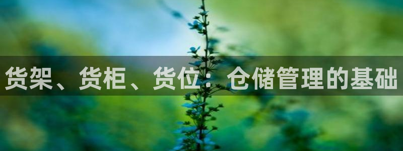 杏运体育登录