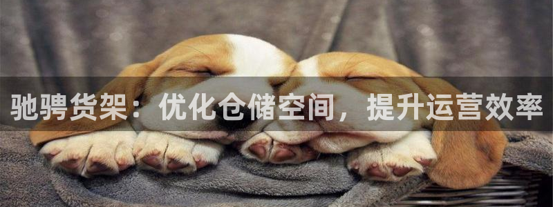 杏运体育网