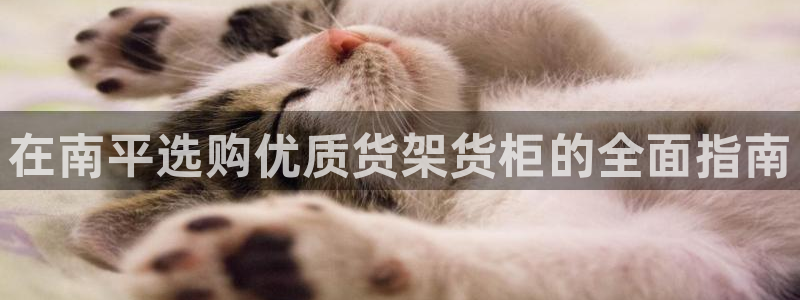 杏运汽车招商