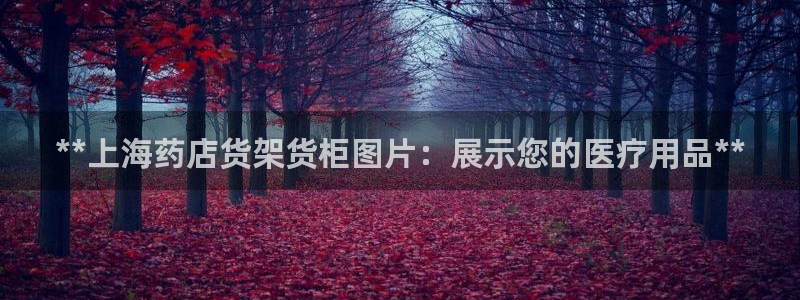 杏运注册登录地址