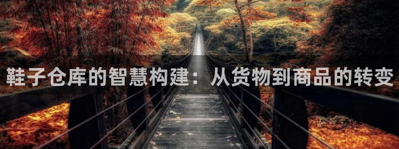杏运体育app下载安装