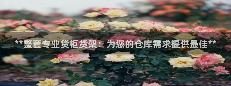 杏运平台官网