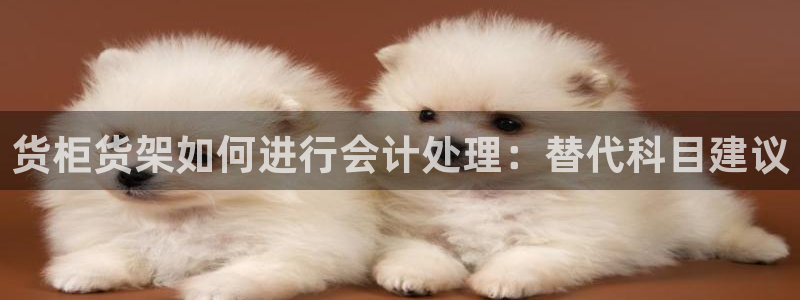 杏运汽车招商