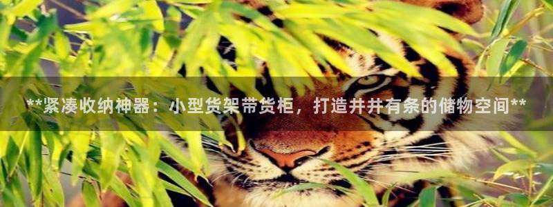 杏运平台官网