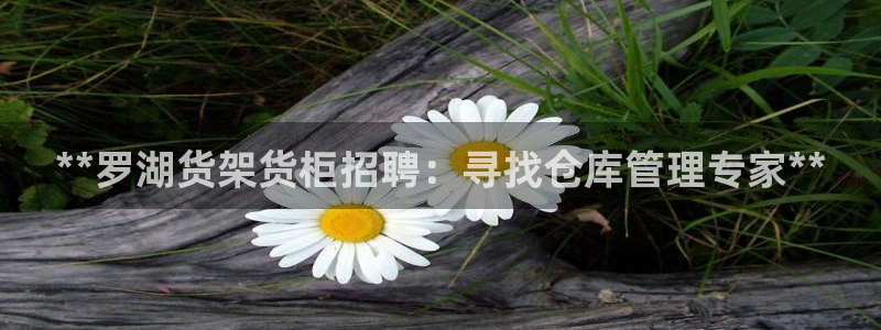 杏运体育登录