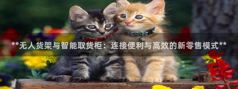 杏运体育不给出款