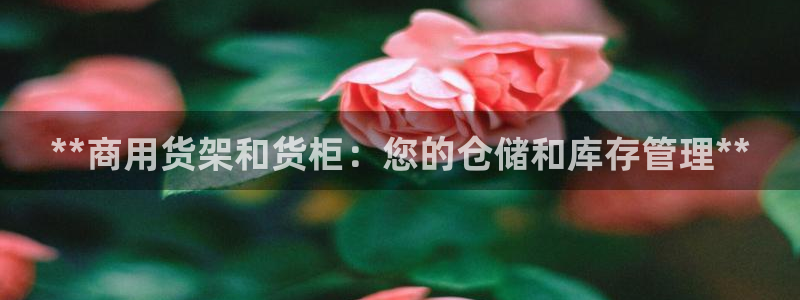 杏运体育平台正规吗安全吗