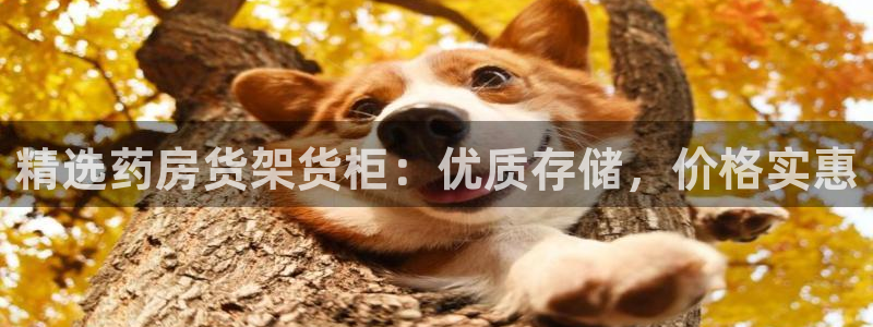 杏运平台官网