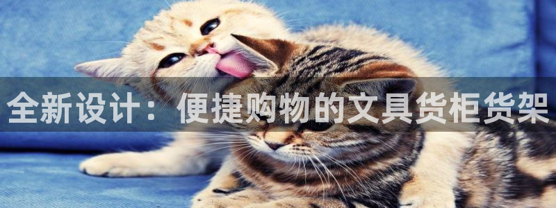 杏运体育官方网址登录