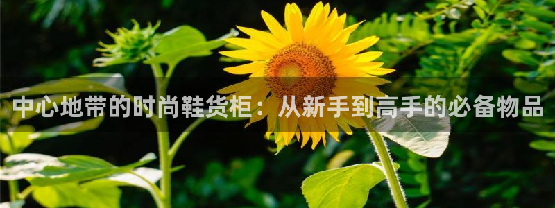 杏运娱乐