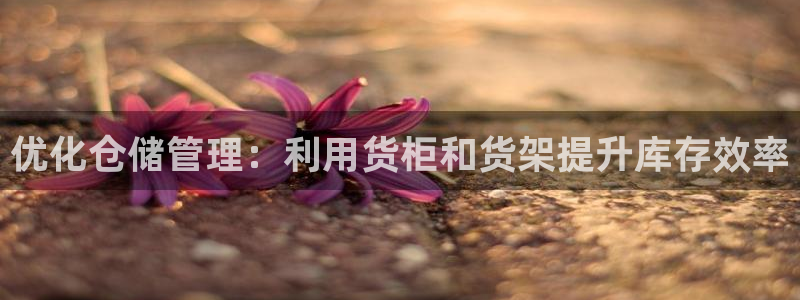 杏运平台官方网站