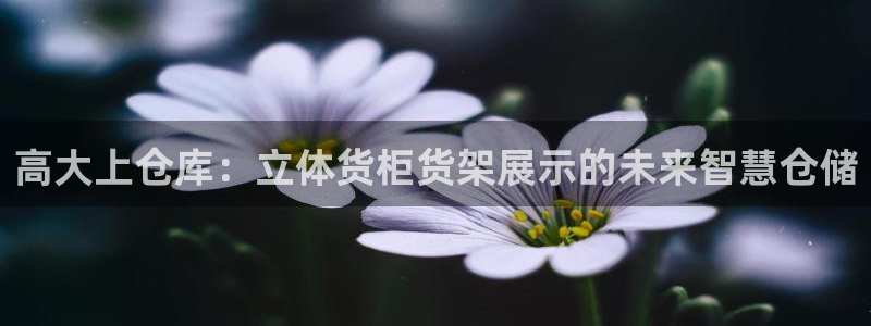 杏运体育登录