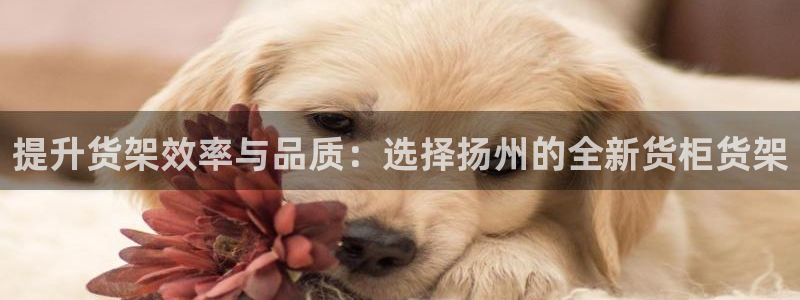 杏运相伴