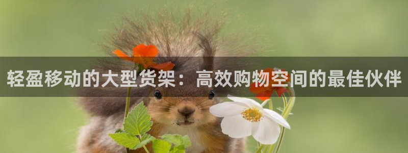 杏运平台登陆