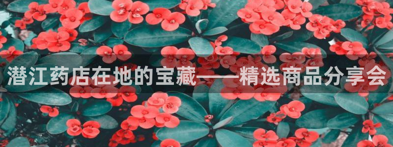 杏运注册登录地址