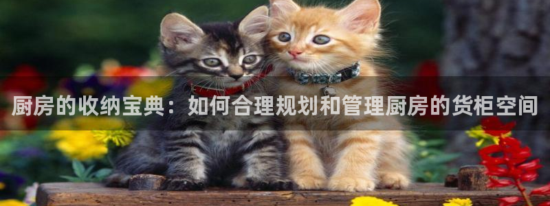 杏运平台代理