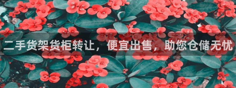 杏运体育娱乐