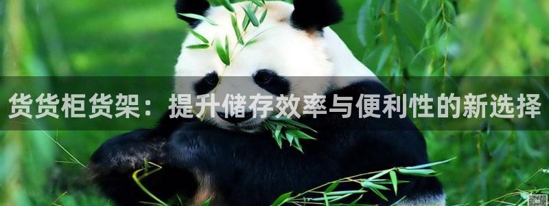 杏运体育注册