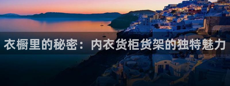 杏运体育平台：衣橱里的秘密：内衣货柜货架