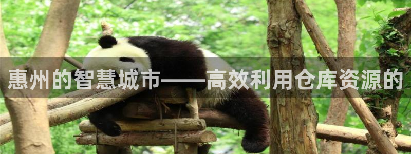 杏运娱乐官网：惠州的智慧城市——高效利用