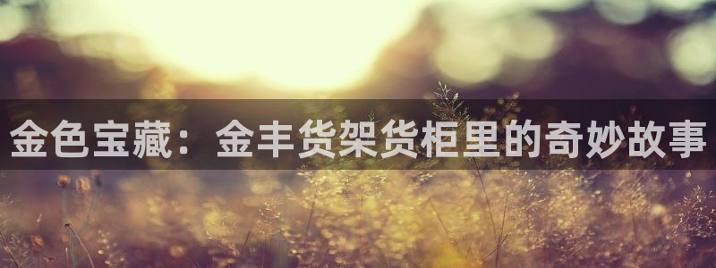 杏运汽车招商：金色宝藏：金丰货架货柜里的