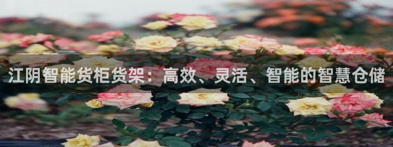 杏运娱乐：江阴智能货柜货架：高效、灵活、