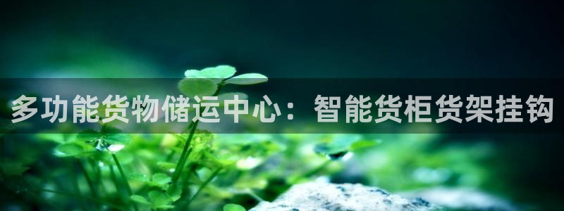 杏运体育注册：多功能货物储运中心：智能货