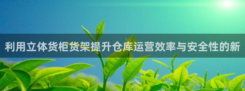 杏运体育app：利用立体货柜货架提升仓库