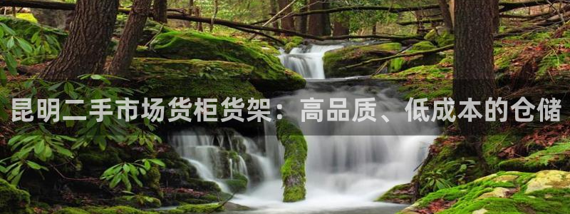 杏运注册登录地址