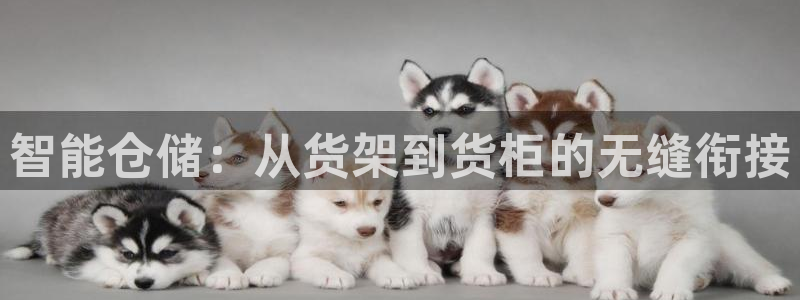 杏运娱乐平台注册地址在哪里