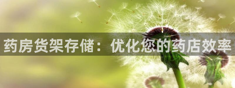 杏运注册平台：药房货架存储：优化您的药店